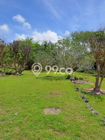 Tanah Siap Bangun Dijual di Badung Punya Luas 27900m2 Tanah Siap Bangun Dijual di Badung Punya Luas 27900m2