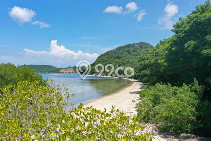 Untuk Dijual Tanah di Lombok Barat, Luas 27200m2 SHM Untuk Dijual Tanah di Lombok Barat, Luas 27200m2 SHM