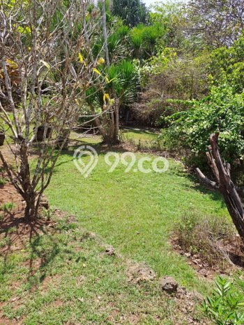 Tanah Siap Bangun Dijual di Badung Punya Luas 27900m2 Tanah Siap Bangun Dijual di Badung Punya Luas 27900m2