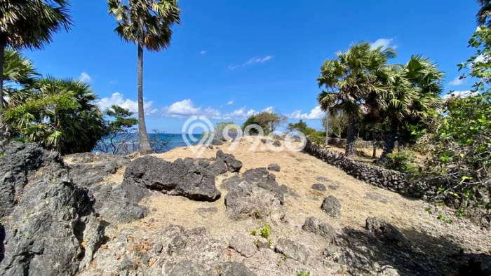 Kavling Tanah Dijual di Pantai Baru Rote Ndao Spesifikasi 8702m2 Kavling Tanah Dijual di Pantai Baru Rote Ndao Spesifikasi 8702m2