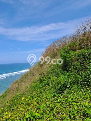Tanah Siap Bangun Dijual di Badung Punya Luas 27900m2 Tanah Siap Bangun Dijual di Badung Punya Luas 27900m2