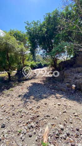 Kavling Tanah Dijual di Pantai Baru Rote Ndao Spesifikasi 8702m2 Kavling Tanah Dijual di Pantai Baru Rote Ndao Spesifikasi 8702m2