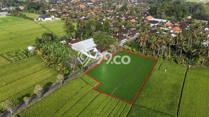 Tanah Disewa di Kaba kaba Strategis dan Memiliki Luas 1650m2 Tanah Disewa di Kaba kaba Strategis dan Memiliki Luas 1650m2