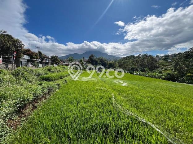 Tanah Kavling Dijual di Ujungberung, Bandung dengan Luas Tanah 6732m2 Tanah Kavling Dijual di Ujungberung, Bandung dengan Luas Tanah 6732m2