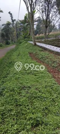 Tanah Kosong Dijual di Sumedang dengan Area 12m2 Tanah Kosong Dijual di Sumedang dengan Area 12m2