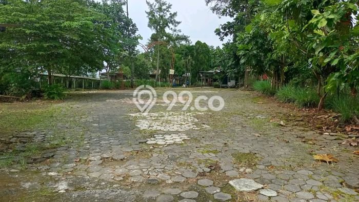 Tanah Kavling di Karangpandan Dijual dengan Luas 6413m2 Tanah Kavling di Karangpandan Dijual dengan Luas 6413m2