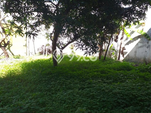 Area Ramai! Gudang Dijual di Klaten Tengah untuk Bisnis Luas Bangunan 900m2 Area Ramai! Gudang Dijual di Klaten Tengah untuk Bisnis Luas Bangunan 900m2