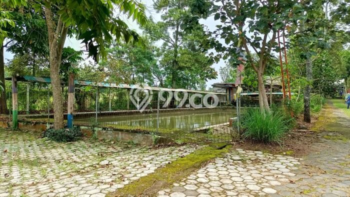 Tanah Kavling di Karangpandan Dijual dengan Luas 6413m2 Tanah Kavling di Karangpandan Dijual dengan Luas 6413m2