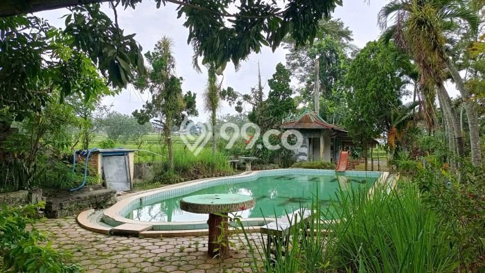 Tanah Kavling di Karangpandan Dijual dengan Luas 6413m2 Tanah Kavling di Karangpandan Dijual dengan Luas 6413m2