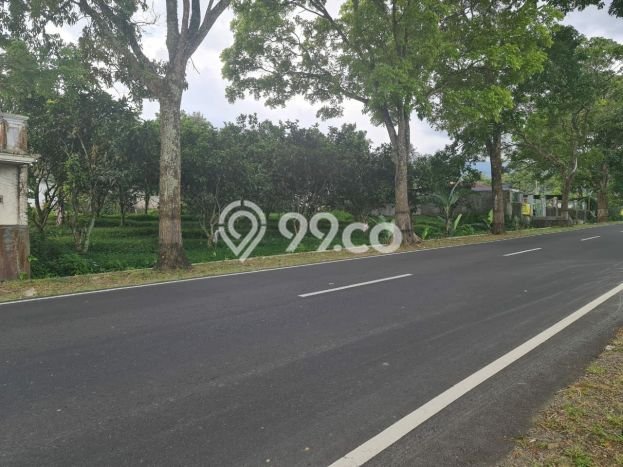 Tanah Kavling di Tawangmangu Dijual dengan Luas 4756m2 Tanah Kavling di Tawangmangu Dijual dengan Luas 4756m2