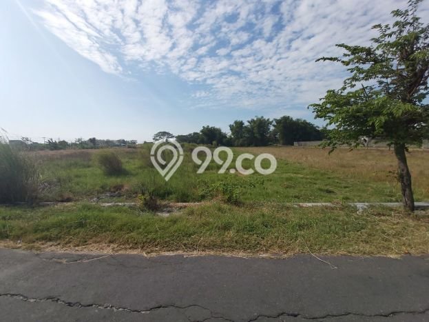 HARGA TERBAIK! Tanah di Wonosari, Luas 3155m², Jalur Mudah, Area Berkembang HARGA TERBAIK! Tanah di Wonosari, Luas 3155m², Jalur Mudah, Area Berkembang