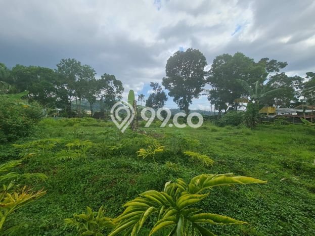 Tanah Kavling di Tawangmangu Dijual dengan Luas 4756m2 Tanah Kavling di Tawangmangu Dijual dengan Luas 4756m2