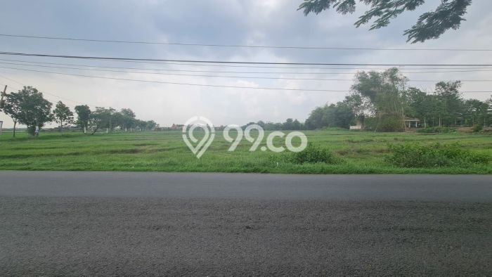 Lahan untuk Dijual Lokasi Ngemplak, Boyolali Luas 3635m2 SHM Lahan untuk Dijual Lokasi Ngemplak, Boyolali Luas 3635m2 SHM