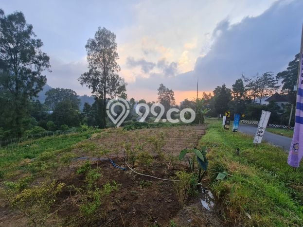 Tanah untuk Dijual di Tawangmangu Karanganyar Luas 2720m2 Tanah untuk Dijual di Tawangmangu Karanganyar Luas 2720m2
