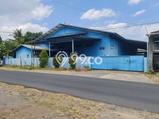 Unit Gudang Paling Strategis di Purwodadi Purwodadi dengan LB 2800m2 Unit Gudang Paling Strategis di Purwodadi Purwodadi dengan LB 2800m2