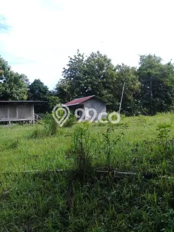 Lahan untuk Dijual di Sragen Sragen Luas 7403m2 Lahan untuk Dijual di Sragen Sragen Luas 7403m2