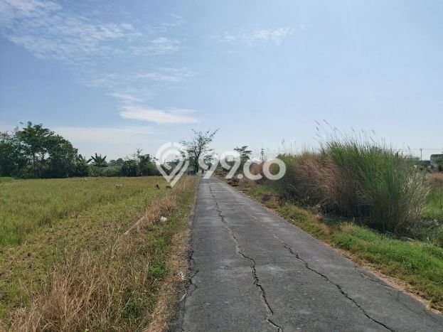 HARGA TERBAIK! Tanah di Wonosari, Luas 3155m², Jalur Mudah, Area Berkembang HARGA TERBAIK! Tanah di Wonosari, Luas 3155m², Jalur Mudah, Area Berkembang