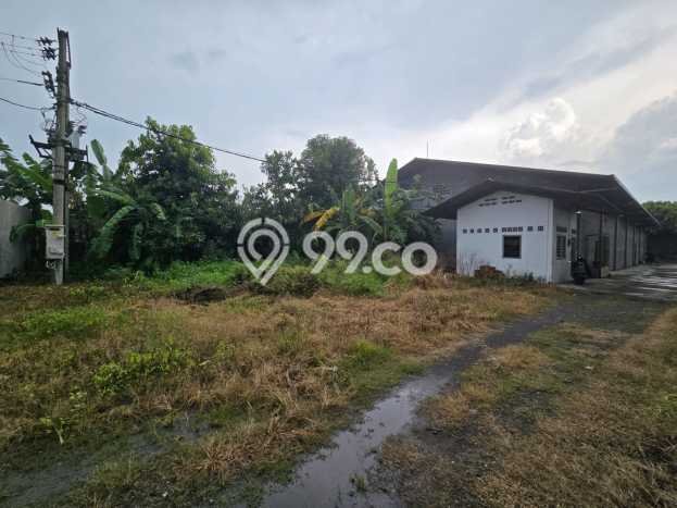 Unit Gudang Dijual di Grogol Sukoharjo Luas Tanah 2280m2, Luas Bangunan 1319m2 Unit Gudang Dijual di Grogol Sukoharjo Luas Tanah 2280m2, Luas Bangunan 1319m2