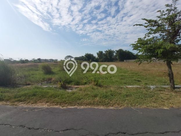 HARGA TERBAIK! Tanah di Wonosari, Luas 3155m², Jalur Mudah, Area Berkembang HARGA TERBAIK! Tanah di Wonosari, Luas 3155m², Jalur Mudah, Area Berkembang