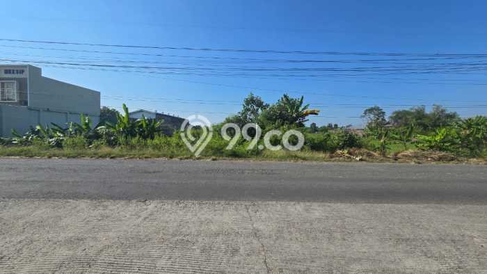 Jarang Ada! Tanah di Juwiring Punya Luas 17195m2 SHM Jarang Ada! Tanah di Juwiring Punya Luas 17195m2 SHM