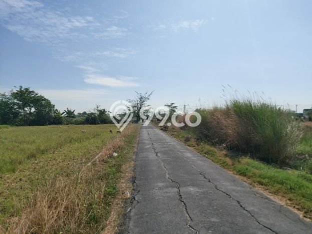 HARGA TERBAIK! Tanah di Wonosari, Luas 3155m², Jalur Mudah, Area Berkembang HARGA TERBAIK! Tanah di Wonosari, Luas 3155m², Jalur Mudah, Area Berkembang