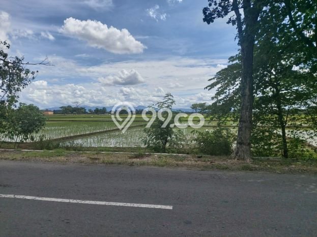 Tanah di Sukoharjo, Sukoharjo Luas 1708m2 Dijual Segera Tanah di Sukoharjo, Sukoharjo Luas 1708m2 Dijual Segera