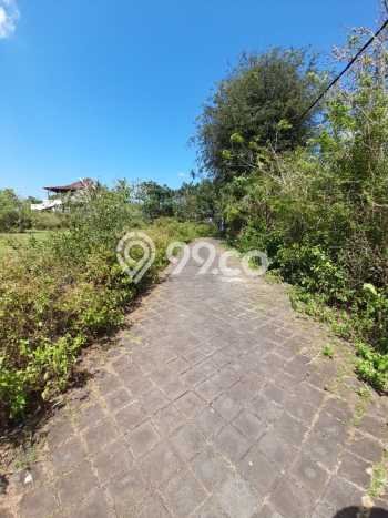 Tanah Kawasan Jimbaran, Luas 200m², Area Strategis, Kawasan Asri Tanah Kawasan Jimbaran, Luas 200m², Area Strategis, Kawasan Asri