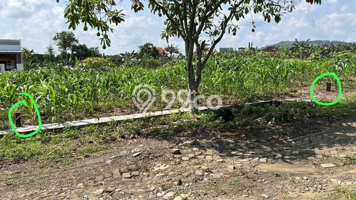 Tanah Dijual Area Strategis di Meteseh Semarang 190m2 Tanah Dijual Area Strategis di Meteseh Semarang 190m2