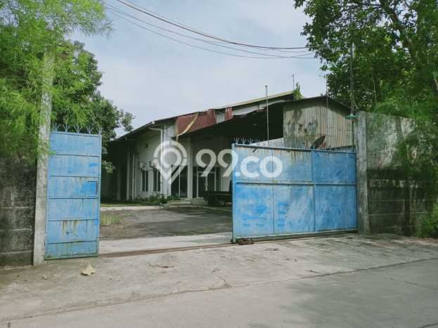 Unit Gudang Disewa Lokasi Kudus, Kabupaten Kudus Spesifikasi Luas Bangunan 9000m2 Unit Gudang Disewa Lokasi Kudus, Kabupaten Kudus Spesifikasi Luas Bangunan 9000m2