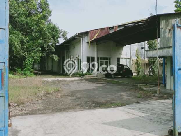 Unit Gudang Disewa Lokasi Kudus, Kabupaten Kudus Spesifikasi Luas Bangunan 9000m2 Unit Gudang Disewa Lokasi Kudus, Kabupaten Kudus Spesifikasi Luas Bangunan 9000m2