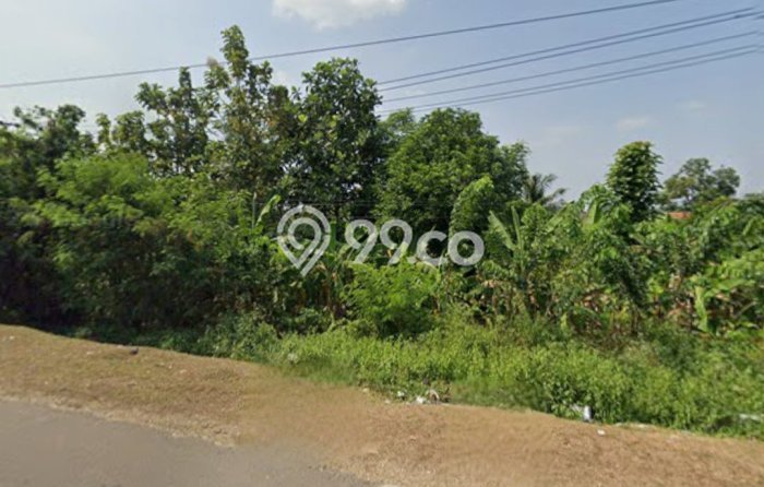 Tanah Dijual Lokasi Cibogo, Subang dengan Luas Tanah 1.2e+06m2 dan Status - Tanah Dijual Lokasi Cibogo, Subang dengan Luas Tanah 1.2e+06m2 dan Status -