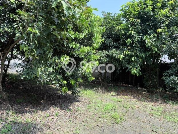 Untuk Dijual Tanah di Ungaran Barat Semarang Luas 1228m2 SHM Untuk Dijual Tanah di Ungaran Barat Semarang Luas 1228m2 SHM