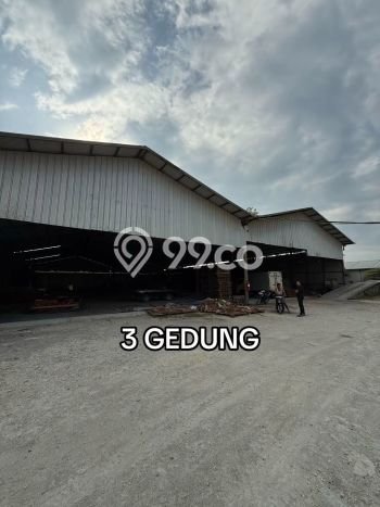 Gudang Disewakan di Area Ramai Mranggen, Demak Gudang Disewakan di Area Ramai Mranggen, Demak
