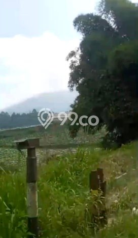 Lahan untuk Dijual Lokasi Lembang, Bandung Barat Luas 21504m2 SHM Lahan untuk Dijual Lokasi Lembang, Bandung Barat Luas 21504m2 SHM