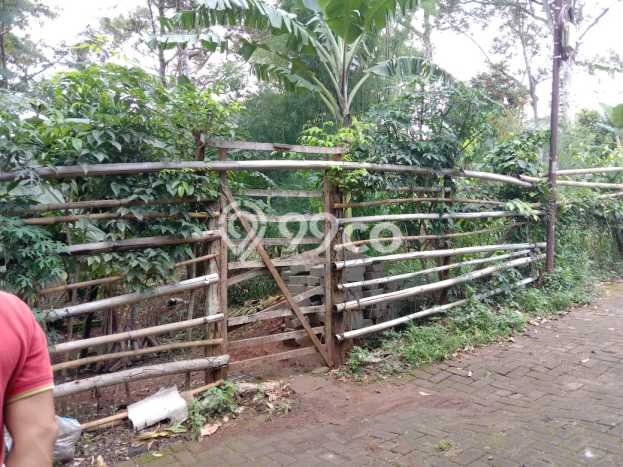 Tanah Strategis Dijual di Banyumanik Semarang 3992m2 Tanah Strategis Dijual di Banyumanik Semarang 3992m2