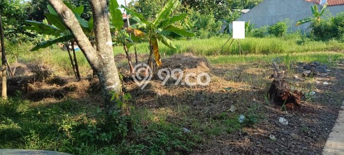 Dijual Tanah 217m2 di Pudak Payung, Semarang Dijual Tanah 217m2 di Pudak Payung, Semarang