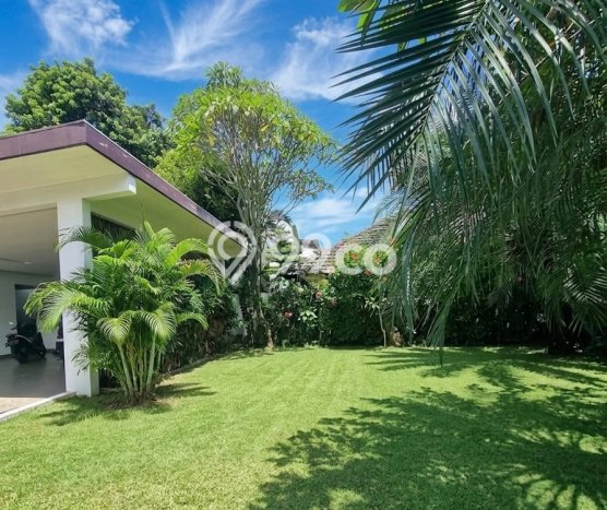 Rumah Disewakan Jakarta Selatan LT 700m2 LB 400m2 Area Cipete Rumah Disewakan Jakarta Selatan LT 700m2 LB 400m2 Area Cipete