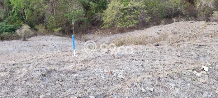 Di Jual Tanah View Sunset Di Warloka Labuan Bajo Di Jual Tanah View Sunset Di Warloka Labuan Bajo