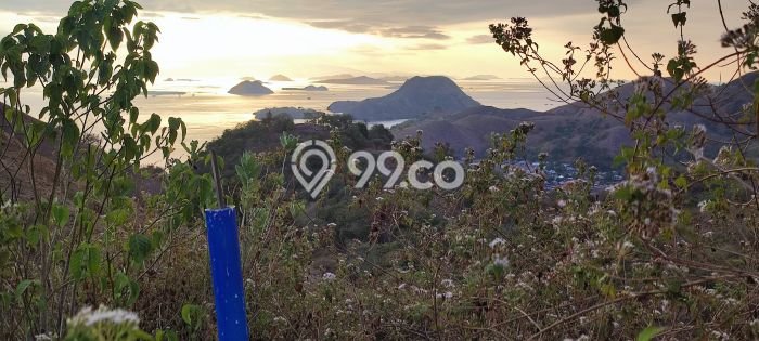 Di Jual Tanah View Sunset Di Warloka Labuan Bajo Di Jual Tanah View Sunset Di Warloka Labuan Bajo