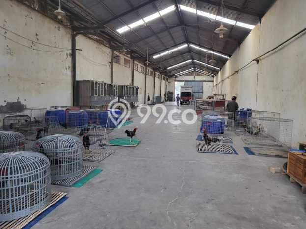 Gudang Usaha Dijual di Cerme Gresik LT 7000m2 & LB 4000m2 Gudang Usaha Dijual di Cerme Gresik LT 7000m2 & LB 4000m2