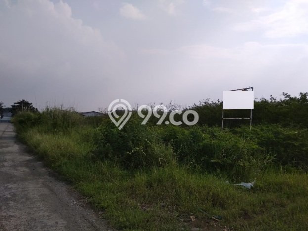 HARGA MENARIK! Tanah di Karawang Timur, Luas 31495m², Lingkungan Nyaman, Bebas Longsor HARGA MENARIK! Tanah di Karawang Timur, Luas 31495m², Lingkungan Nyaman, Bebas Longsor