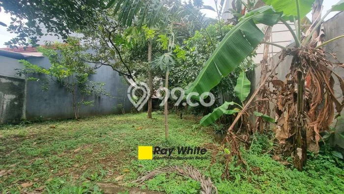 Tanah Dijual Area Strategis di Sukasari Bogor 199m2 Tanah Dijual Area Strategis di Sukasari Bogor 199m2