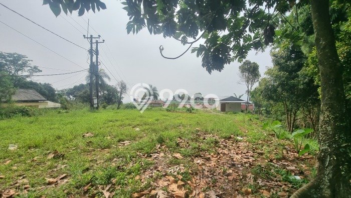 Lahan untuk Dijual Lokasi Cijeruk, Bogor Luas 1749m2 SHM Lahan untuk Dijual Lokasi Cijeruk, Bogor Luas 1749m2 SHM