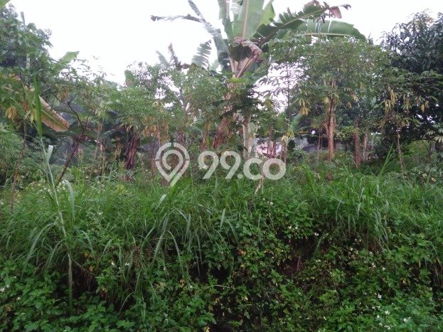 Tanah Dijual Area Strategis di Cimahi Bandung 1700m2 Tanah Dijual Area Strategis di Cimahi Bandung 1700m2