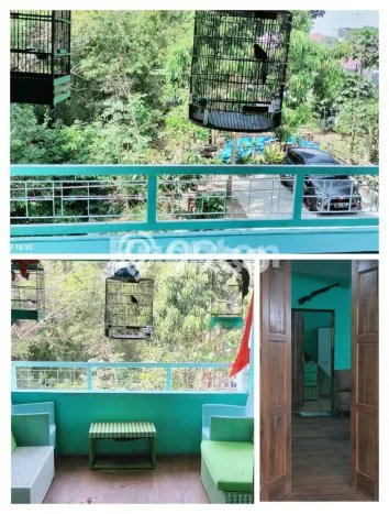 Rumah Luas Asri 5 KT Siap Huni di Tidar Malang Rumah Luas Asri 5 KT Siap Huni di Tidar Malang