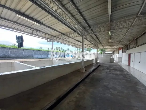 Area Ramai! Gudang Dijual di Pakis untuk Bisnis Luas Bangunan 1000m2 Area Ramai! Gudang Dijual di Pakis untuk Bisnis Luas Bangunan 1000m2