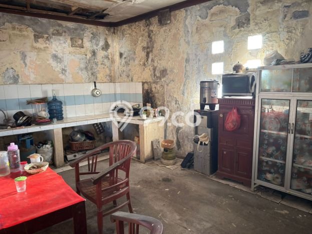 Tanah Kosong Dijual di Denpasar dengan Area 300m2 Tanah Kosong Dijual di Denpasar dengan Area 300m2