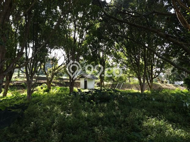 Jual Tanah di Cihanjuang, Luas 3220m2m², Dekat Pusat Kota Jual Tanah di Cihanjuang, Luas 3220m2m², Dekat Pusat Kota