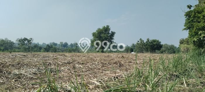 Tanah Area Potensial di , Luas 10000m2m², Cocok untuk Bisnis Tanah Area Potensial di , Luas 10000m2m², Cocok untuk Bisnis