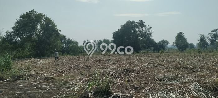 Tanah Area Potensial di , Luas 10000m2m², Cocok untuk Bisnis Tanah Area Potensial di , Luas 10000m2m², Cocok untuk Bisnis